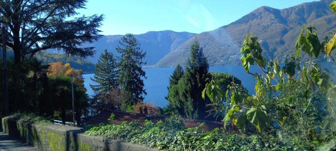 Casa Le Palme Villa Pino Lago Maggiore Eksteriør bilde