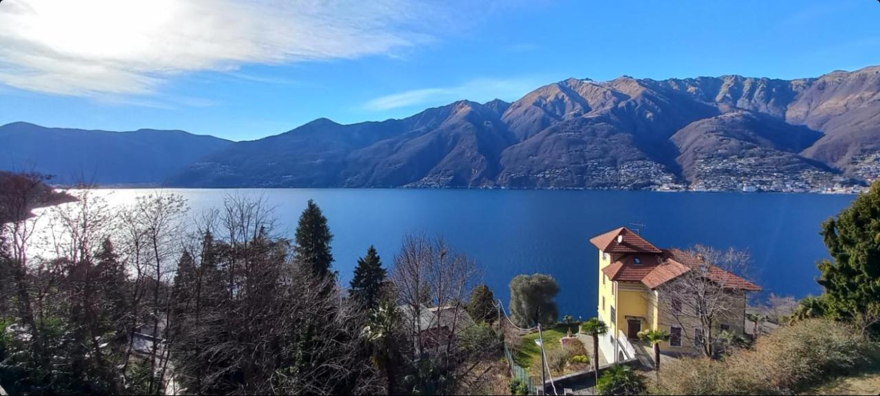 Casa Le Palme Villa Pino Lago Maggiore Eksteriør bilde