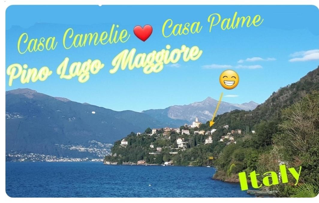 Casa Le Palme Villa Pino Lago Maggiore Eksteriør bilde