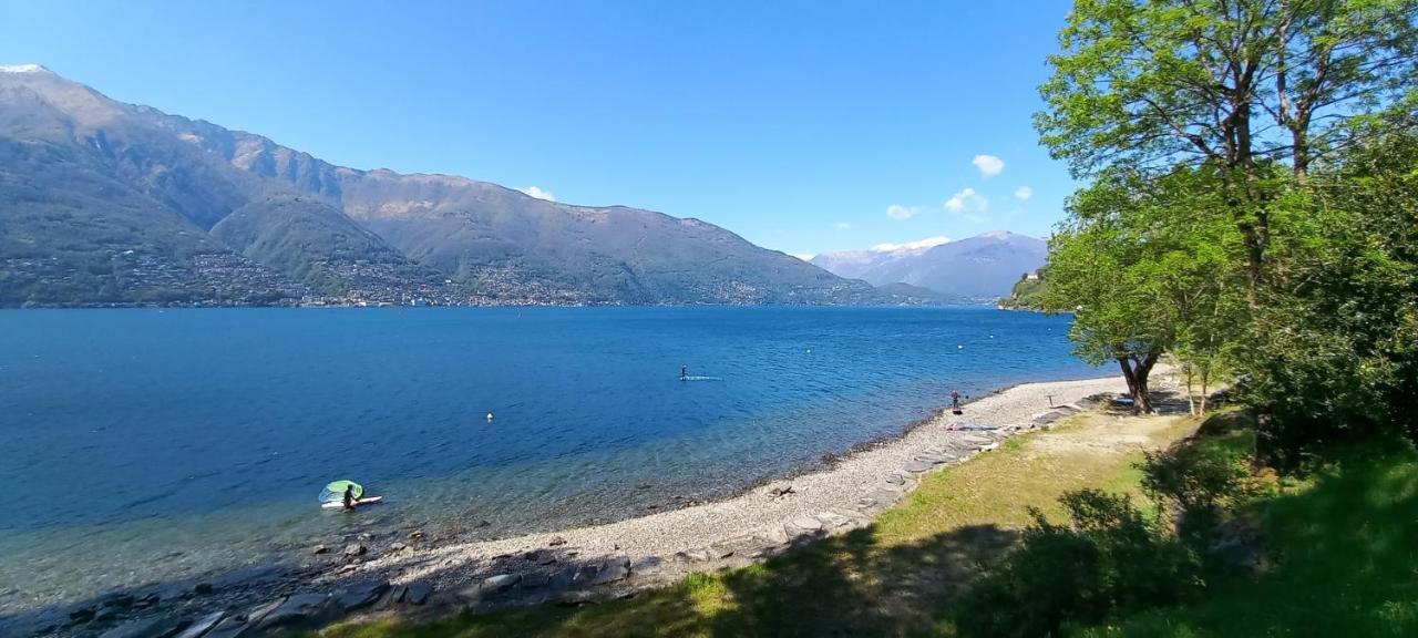 Casa Le Palme Villa Pino Lago Maggiore Eksteriør bilde