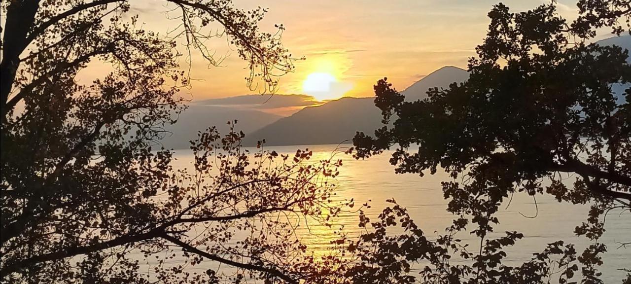 Casa Le Palme Villa Pino Lago Maggiore Eksteriør bilde