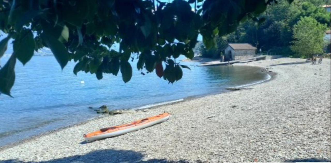 Casa Le Palme Villa Pino Lago Maggiore Eksteriør bilde