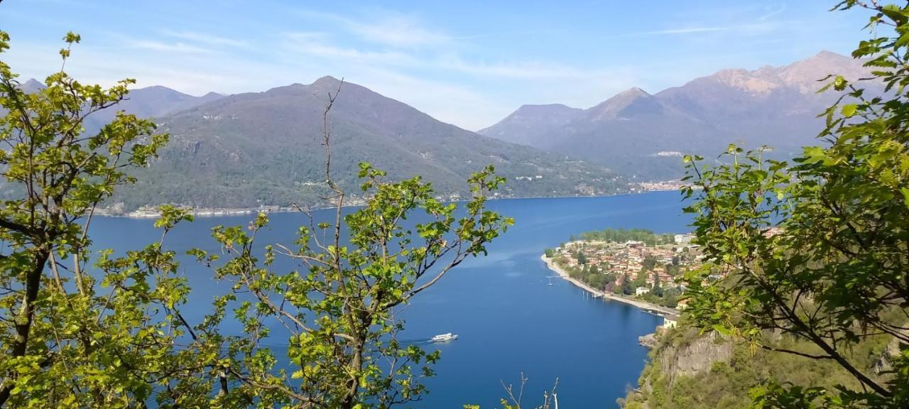 Casa Le Palme Villa Pino Lago Maggiore Eksteriør bilde