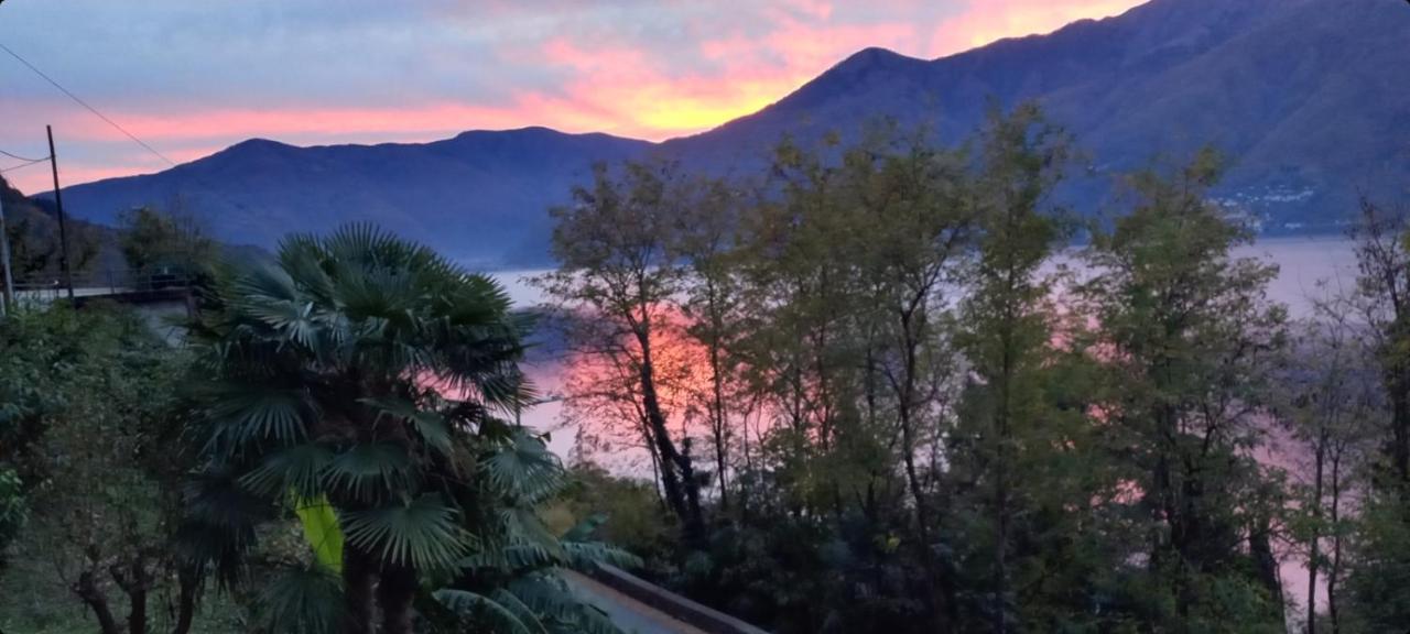 Casa Le Palme Villa Pino Lago Maggiore Eksteriør bilde