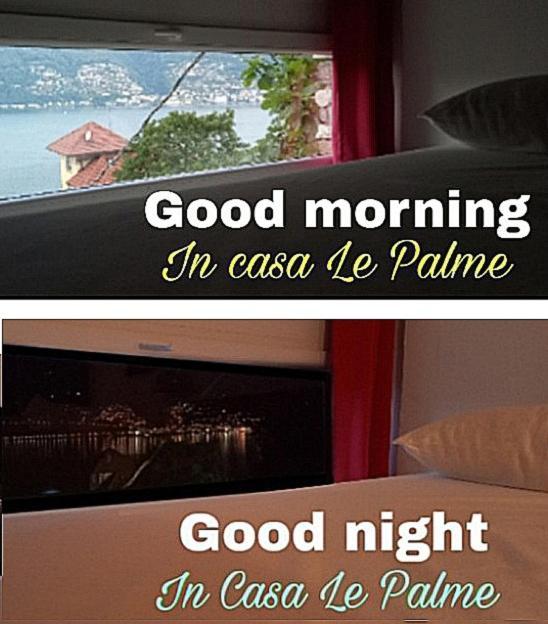 Casa Le Palme Villa Pino Lago Maggiore Eksteriør bilde