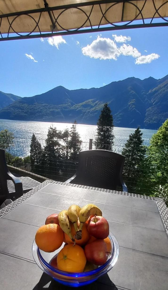 Casa Le Palme Villa Pino Lago Maggiore Eksteriør bilde