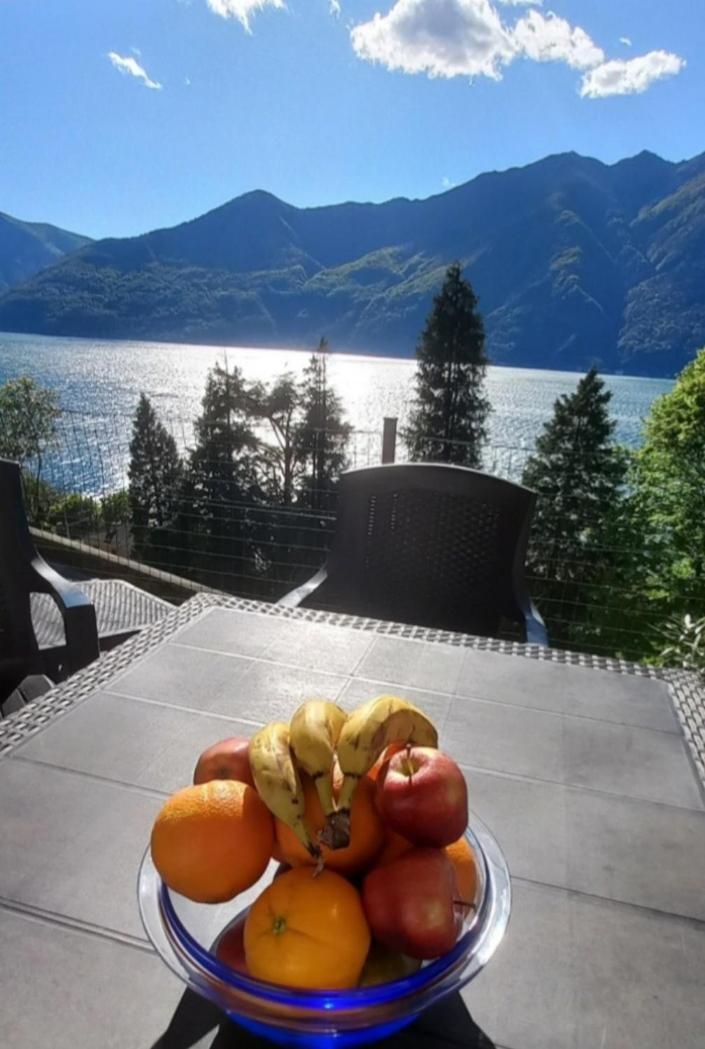 Casa Le Palme Villa Pino Lago Maggiore Eksteriør bilde