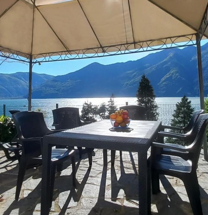 Casa Le Palme Villa Pino Lago Maggiore Eksteriør bilde