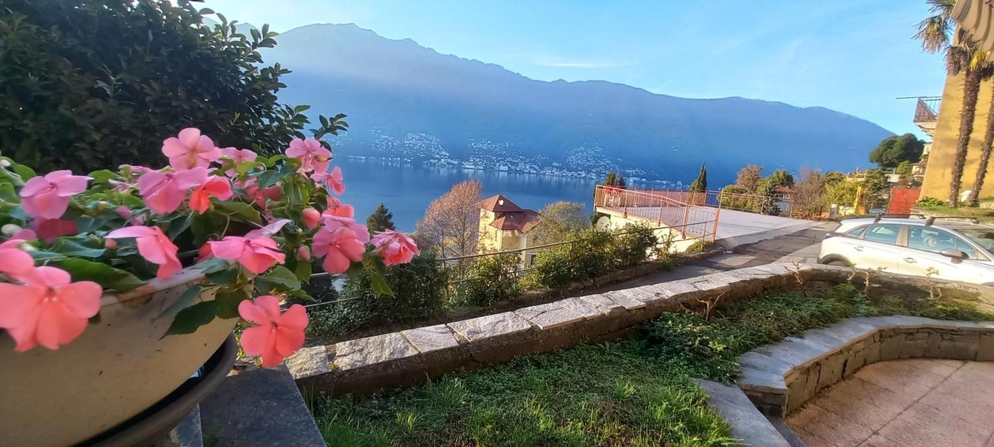 Casa Le Palme Villa Pino Lago Maggiore Eksteriør bilde