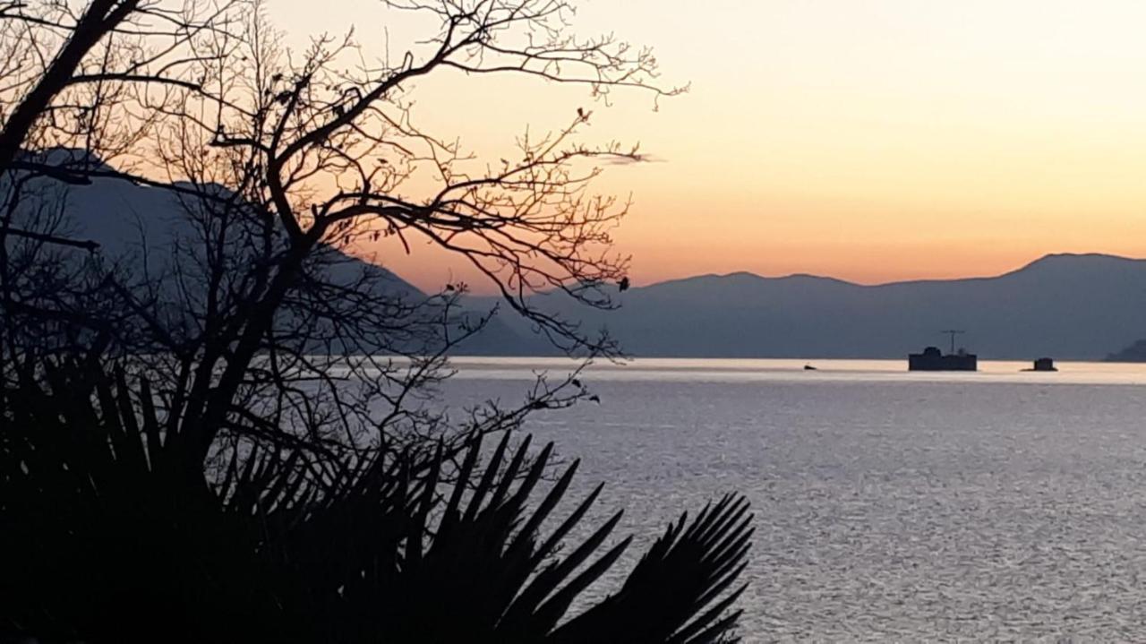 Casa Le Palme Villa Pino Lago Maggiore Eksteriør bilde
